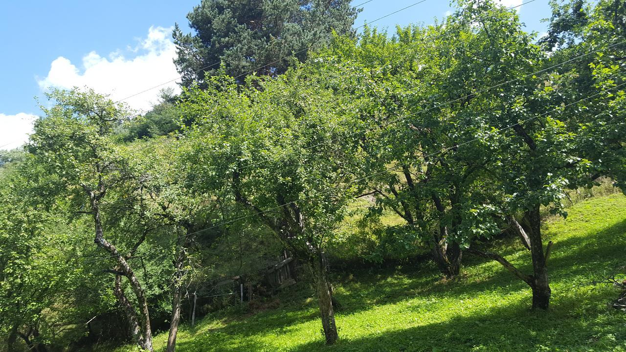 Bed and Breakfast Raul Lushnu Darbaz Mestia Esterno foto