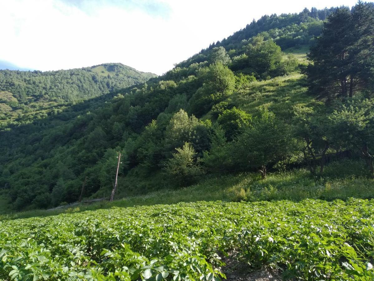 Bed and Breakfast Raul Lushnu Darbaz Mestia Esterno foto