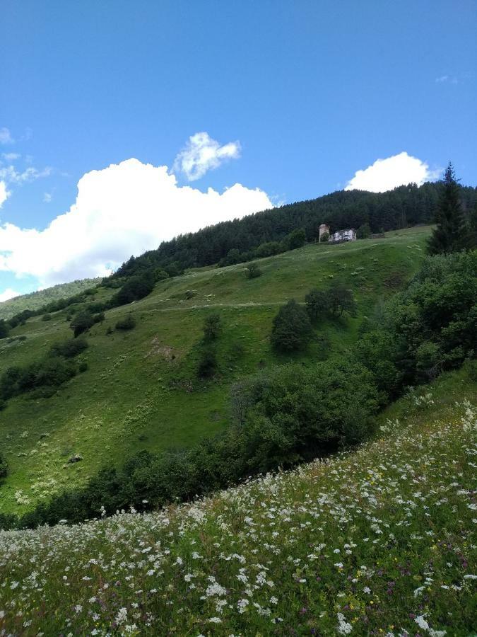 Bed and Breakfast Raul Lushnu Darbaz Mestia Esterno foto